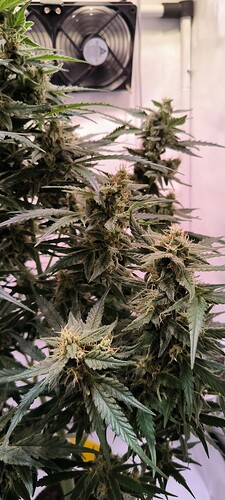 Growreport Bild 11