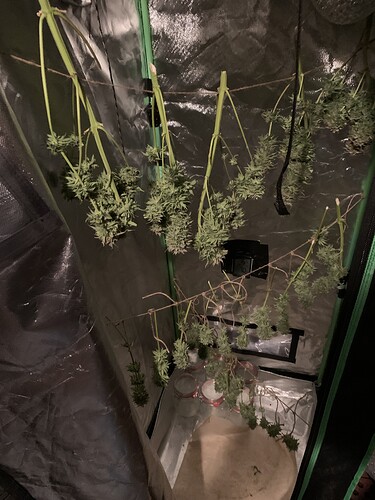 Growreport Bild 5