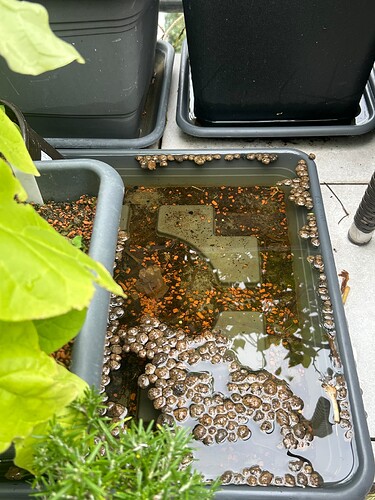 Growreport Bild 10
