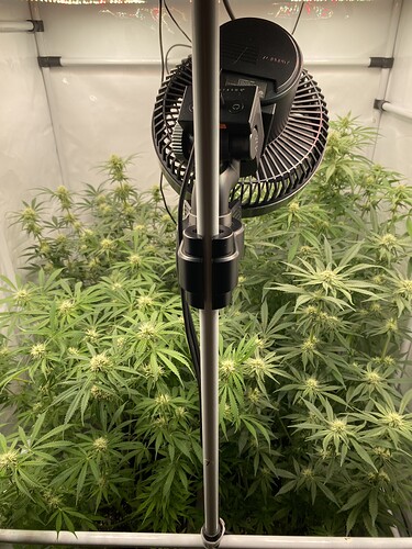 Growreport Bild 1