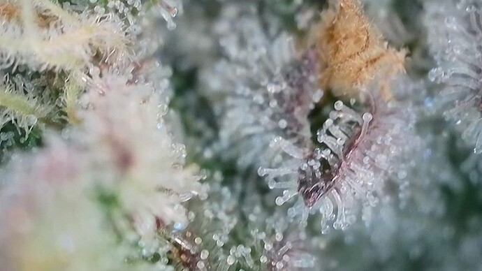 Growreport Bild 20
