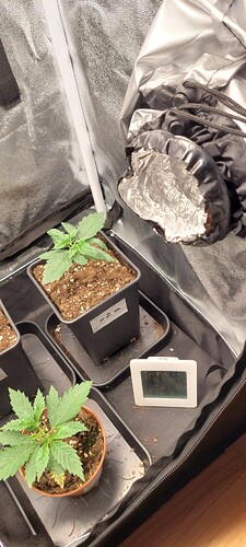 Growreport Bild 4
