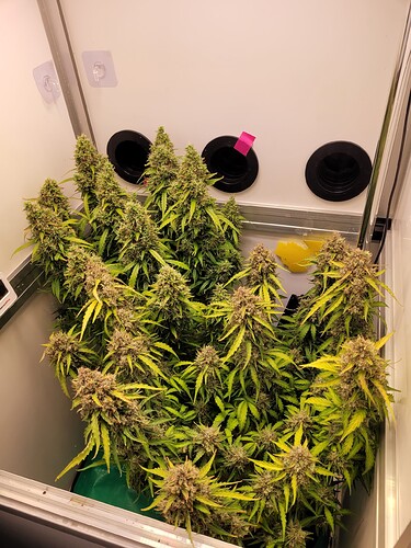Growreport Bild 20