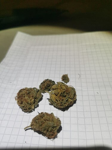 17271131849102065611329803973248