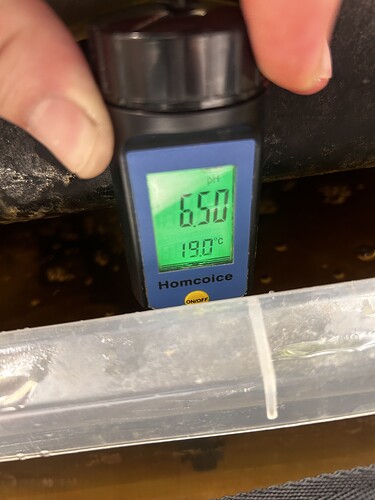Growreport Bild 2