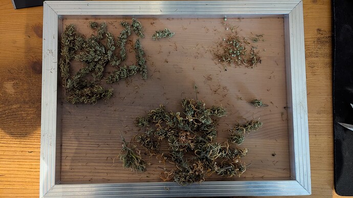Growreport Bild 3