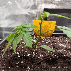 WhatsApp Bild 2025-04-19 um 17.19.46_f7c6aacf