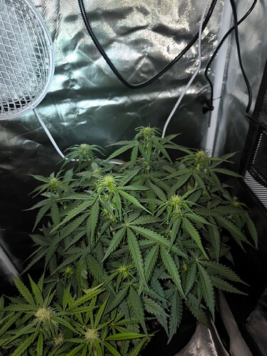 Growreport Bild 12