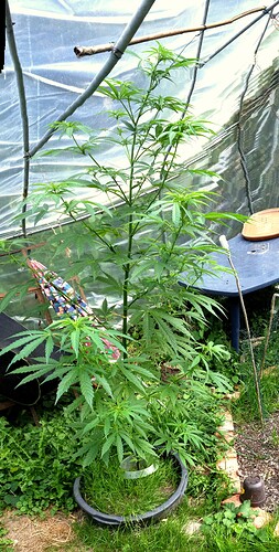 Grow24_0916_JD-BT1_03