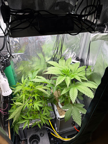 Growreport Bild 21