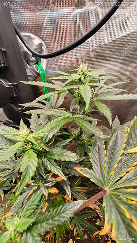 Growreport Bild 9