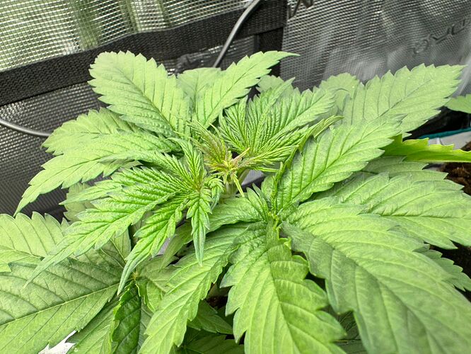 WhatsApp Image 2024-04-14 at 19.56.09