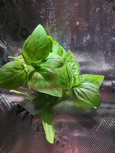 Growreport Bild 5