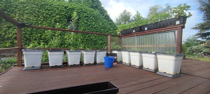 Growreport Bild 12