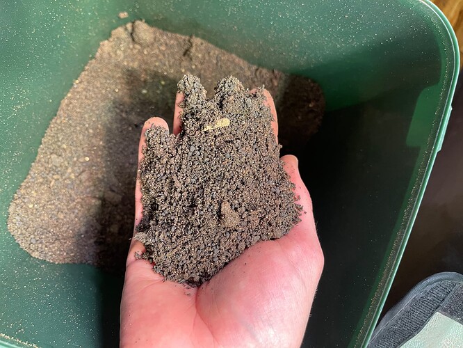 Growreport Bild 4