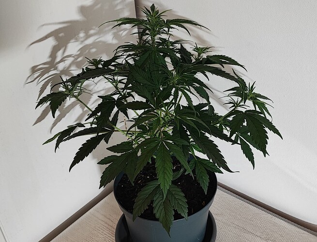 Growreport Bild 11