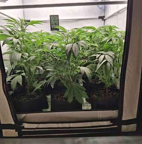 Growreport Bild 23