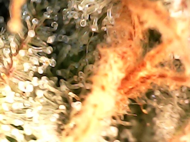 Photo_2024-04-28 13_37_00_794