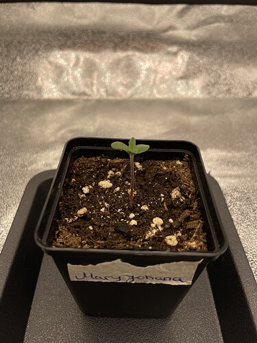 Growreport Bild 7