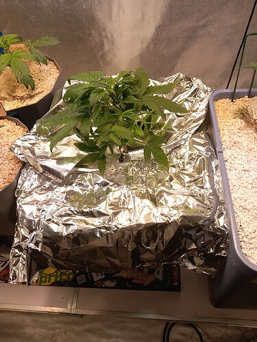 Growreport Bild 20