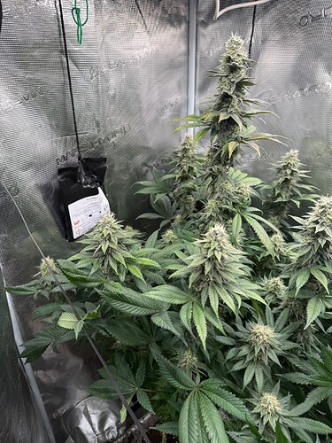 Growreport Bild 1