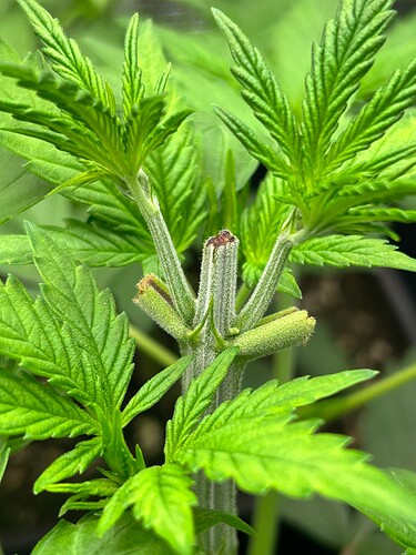 Growreport Bild 21