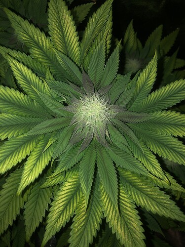 Growreport Bild 2
