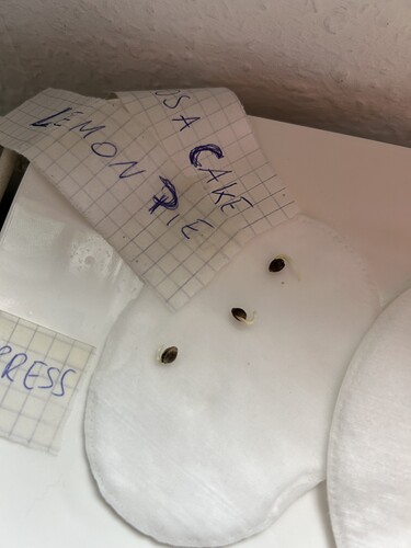 Growreport Bild 2