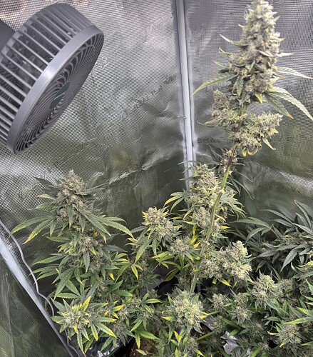 Growreport Bild 27
