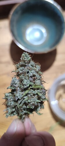 Growreport Bild 20