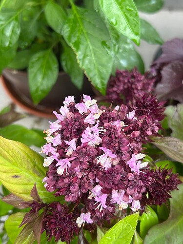 Growreport Bild 7