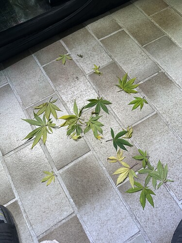 Growreport Bild 19