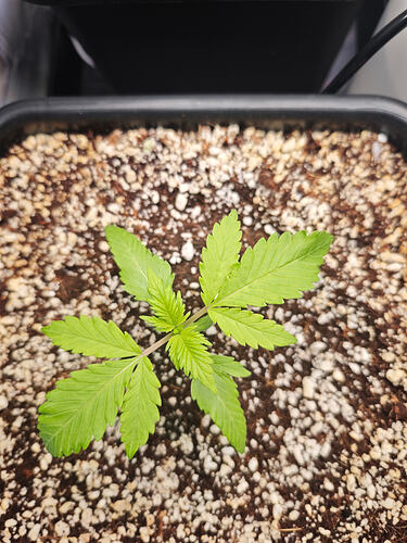 Growreport Bild 12
