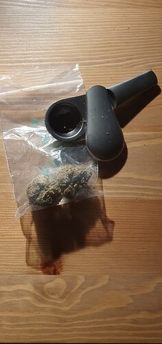 Growreport Bild 3