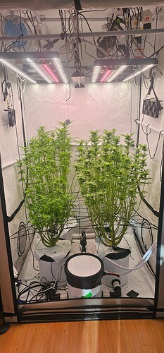Growreport Bild 15