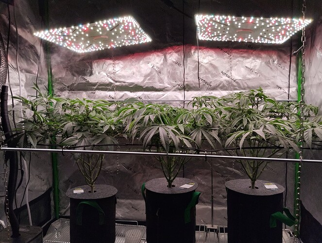 Growreport Bild 2