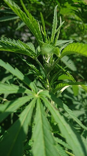 Growreport Bild 23