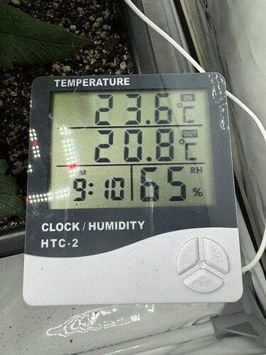 Growreport Bild 8