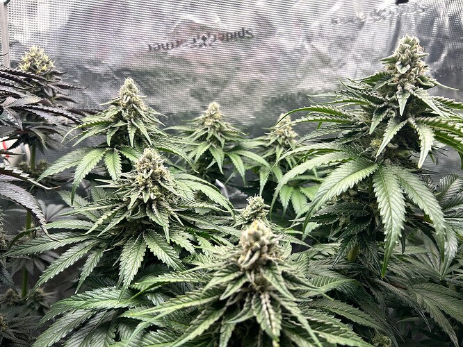 Growreport Bild 15