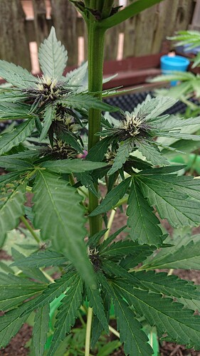 Growreport Bild 18