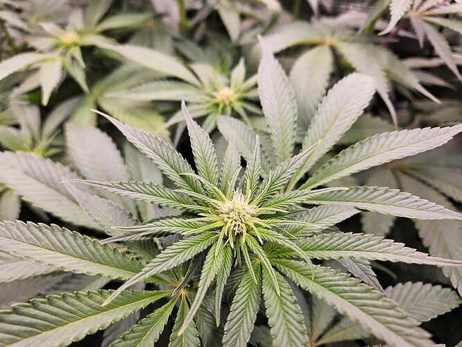 Growreport Bild 15