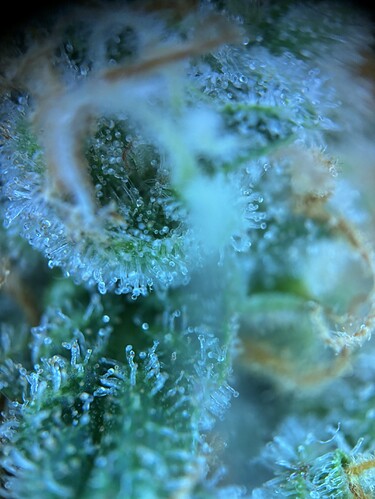Growreport Bild 18