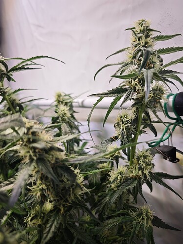 MVIMG_20251103_190523