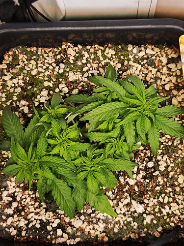 MVIMG_20251009_175546