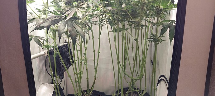 Growreport Bild 10
