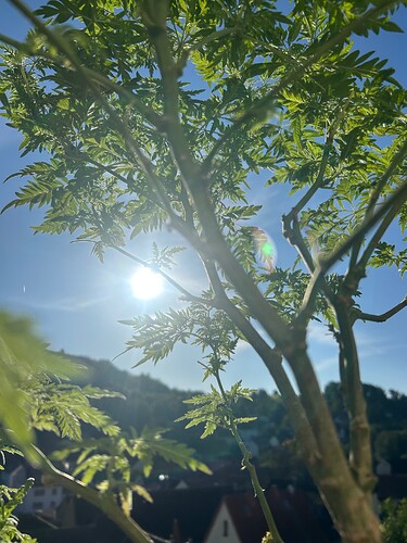 Growreport Bild 16