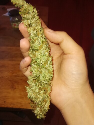Growreport Bild 35