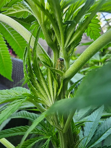 Growreport Bild 30