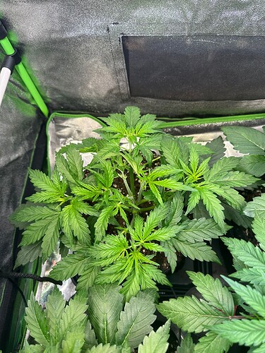 Growreport Bild 10