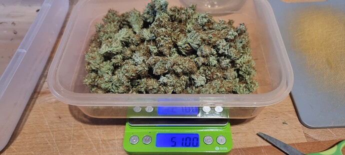 Growreport Bild 1